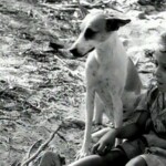 Cadela Baleia em cena do filme "Vidas Secas". Imagem: Internet.