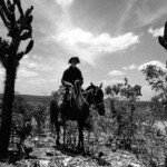 Cena do filme "Vidas Secas". Imagem: Internet. Cena do filme "Vidas Secas". Imagem: Internet.